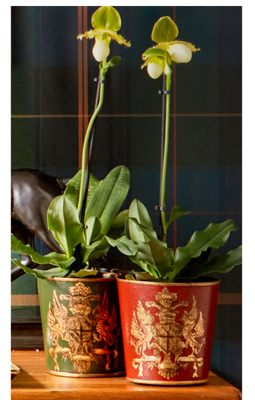 Coat of Arms Planter - Red