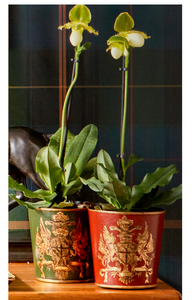 Coat of Arms Planter - Red