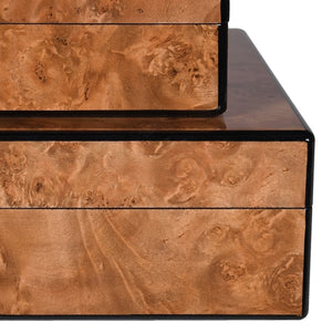 Set of 2 Faux Burl Boxes