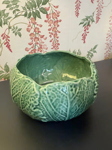 Cabbage Bowl