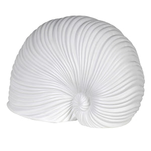 White Sea Snail